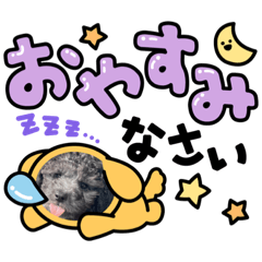 hona_20220422194116