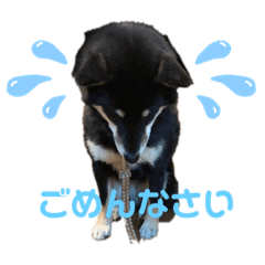 hana_20220422204041
