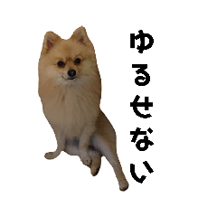 d_20220422205750