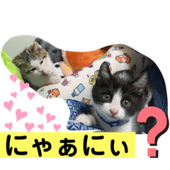 sayuri_20220422192148