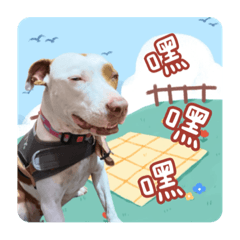 要一塊給五毛-日常篇