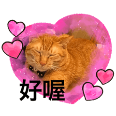 抱抱可愛麽惡惡夢