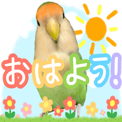 Maru&Pon&Mi-chan sticker