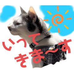 MIKI_20220422183427