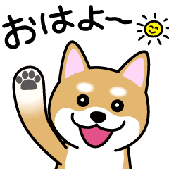 Cute! Animated Shibainu Stickers