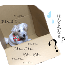 natsumi_20220422215301