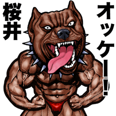 Sakurai dedicated Muscle macho animal