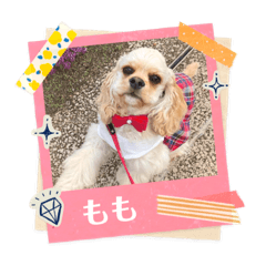 Miki_20220422232821
