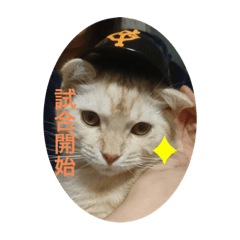 kaori_20220422195719