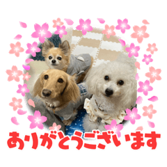 Hana_20220423110153