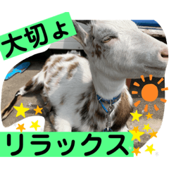 sayuri_20220423110301