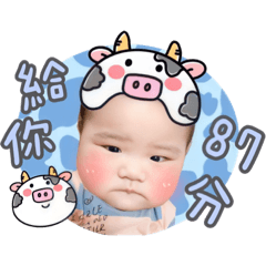 朱卉粿✩可愛動物篇