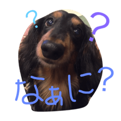 aluto