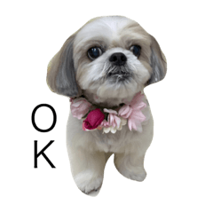 mitiko_20220422222221