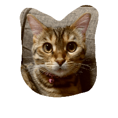 LUNASAN NO CATS