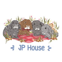 JP HOUSE Bunnies