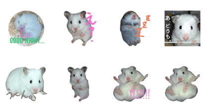 hamsters.