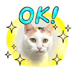 最可愛的花花與糖糖