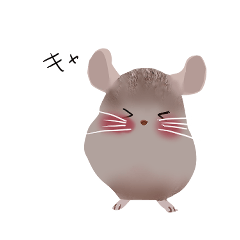 Chinchilla is cute.