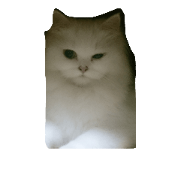 hi kiki