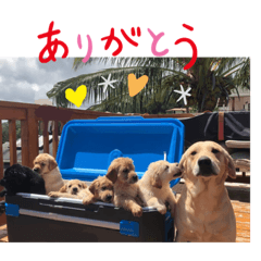 Koa & Sanshiro_20220422002041