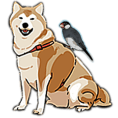 Cawaii dog&bird