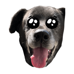 Alice_20220423120415