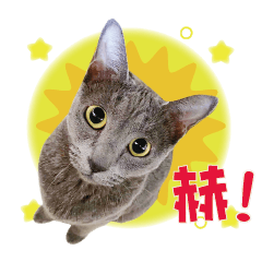 赫&super 愛蚪的日常