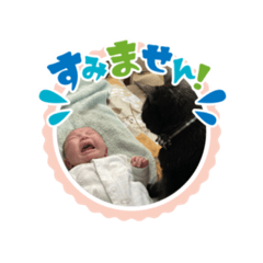 aoi_20220423143105