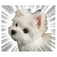 nanami_20220423144907