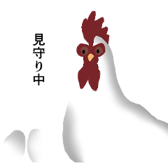 Chicken Garden