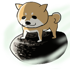 Shiba meteorite