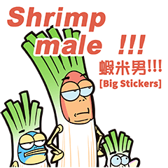 Shrimp male !!! [Big Stickers]