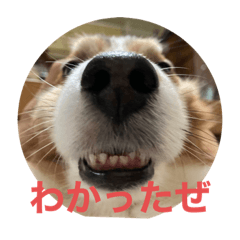ai_20220423155936