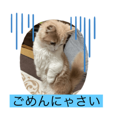 asako_20220423165134