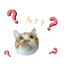 okakisan_20220423171111