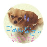 maron &moko