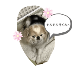 AI_20220423190628