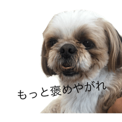 nazonosuke_20220423193326