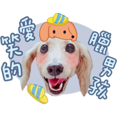 我是可愛的豆豆-愛笑的臘男孩