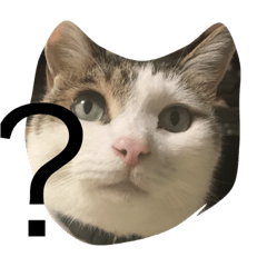 izutsu
