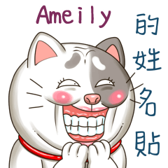 Ameily_專屬的搞怪貓咪