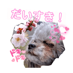 aina_20220423195952
