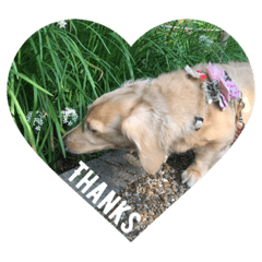 Have a nice day!!!!!!