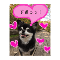 Chip@japan