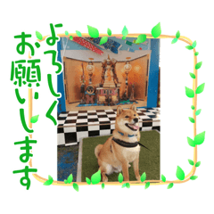 abcdefg_20220423210507