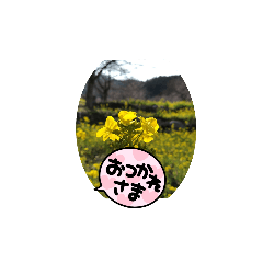 matsu_20220423202024