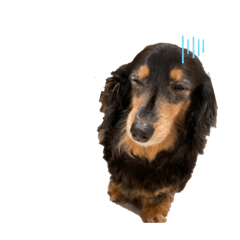 shiho_20220423200313