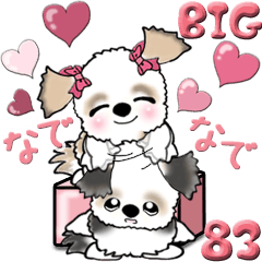 【Big】シーズー犬 83『♥』