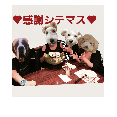 犬人間 Line スタンプ Line Store 犬人間 Line スタンプ Line Store